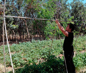 Experiencia Agroecológica